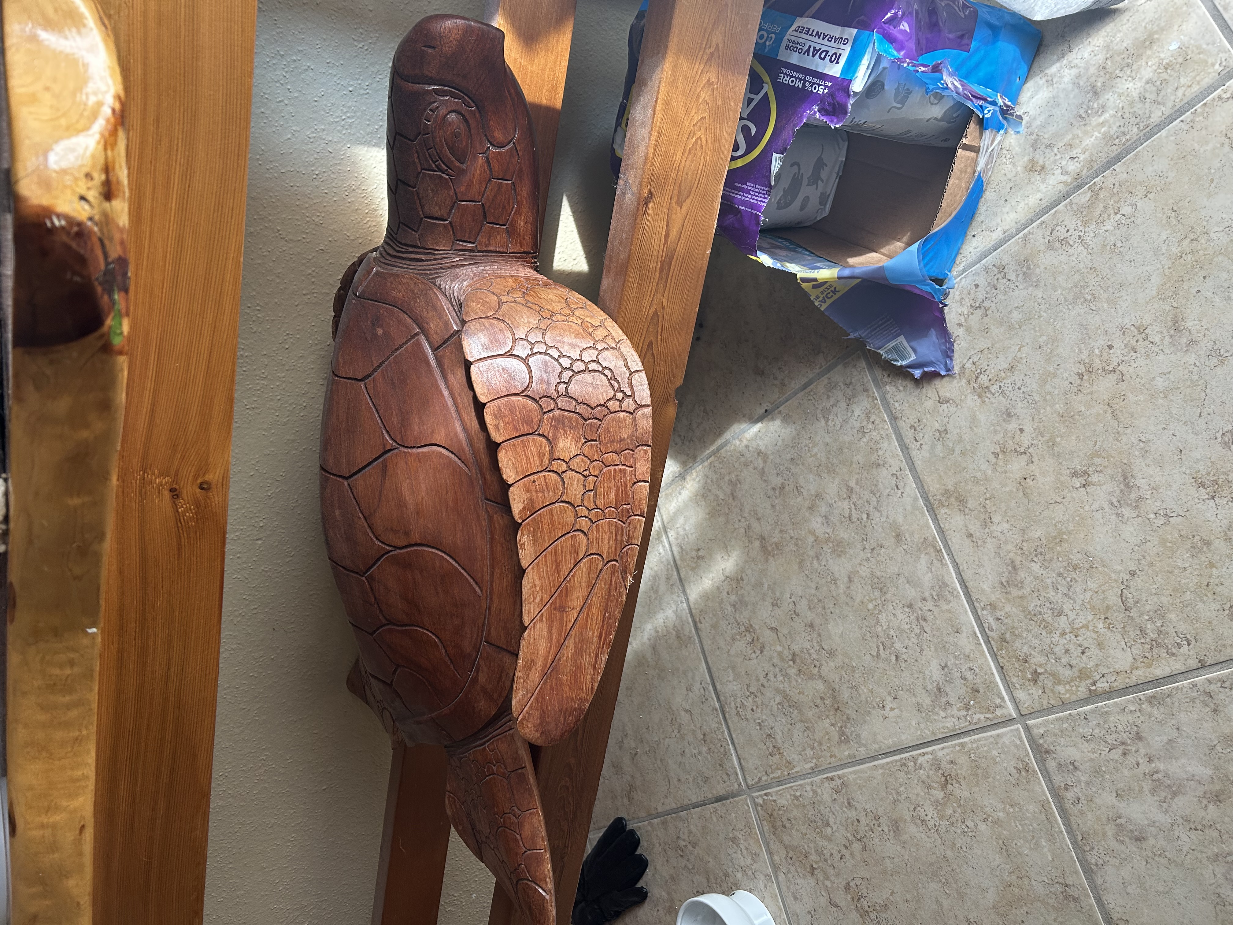 Turtle for Sale