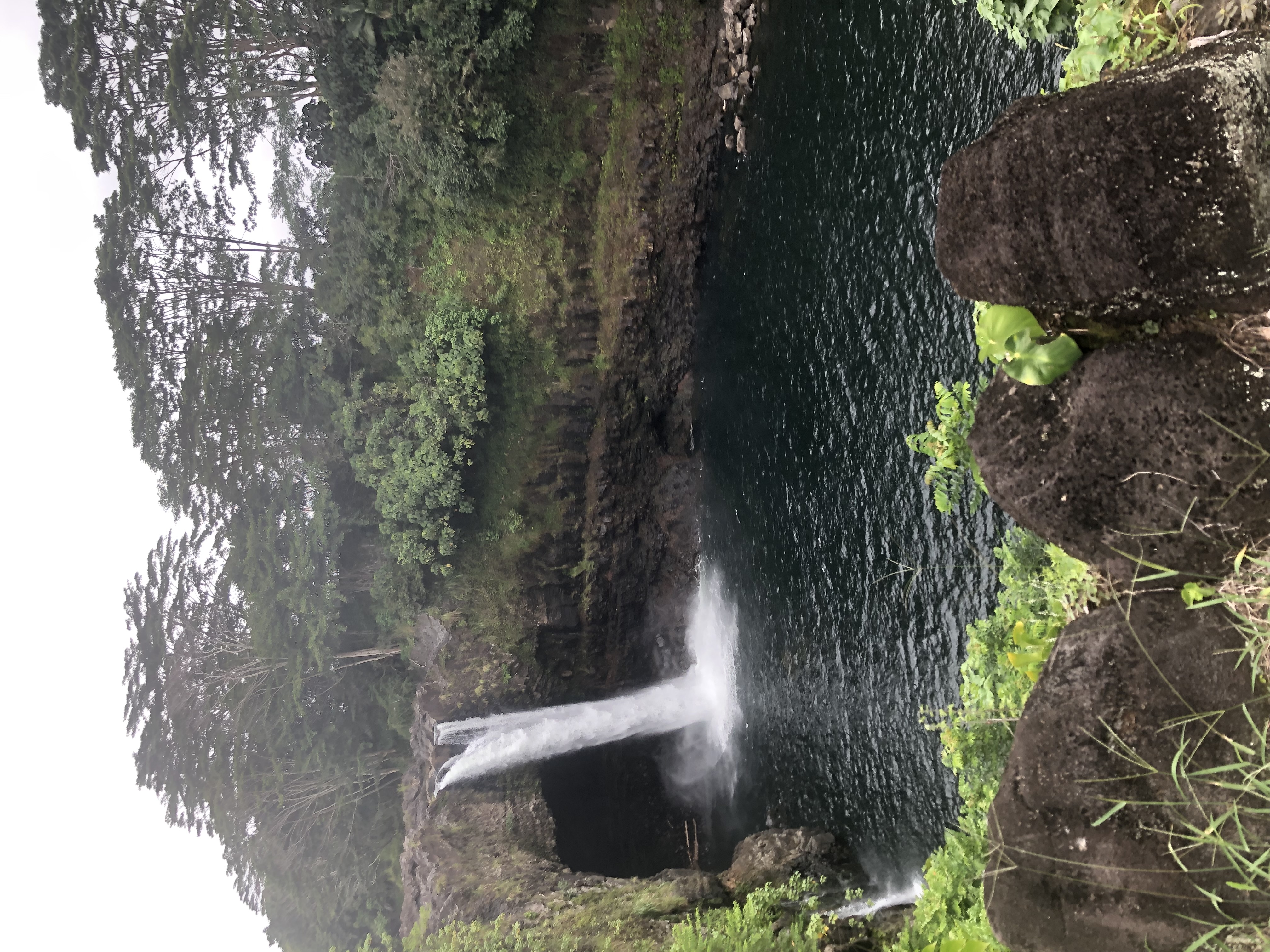 Picture from Hawaii