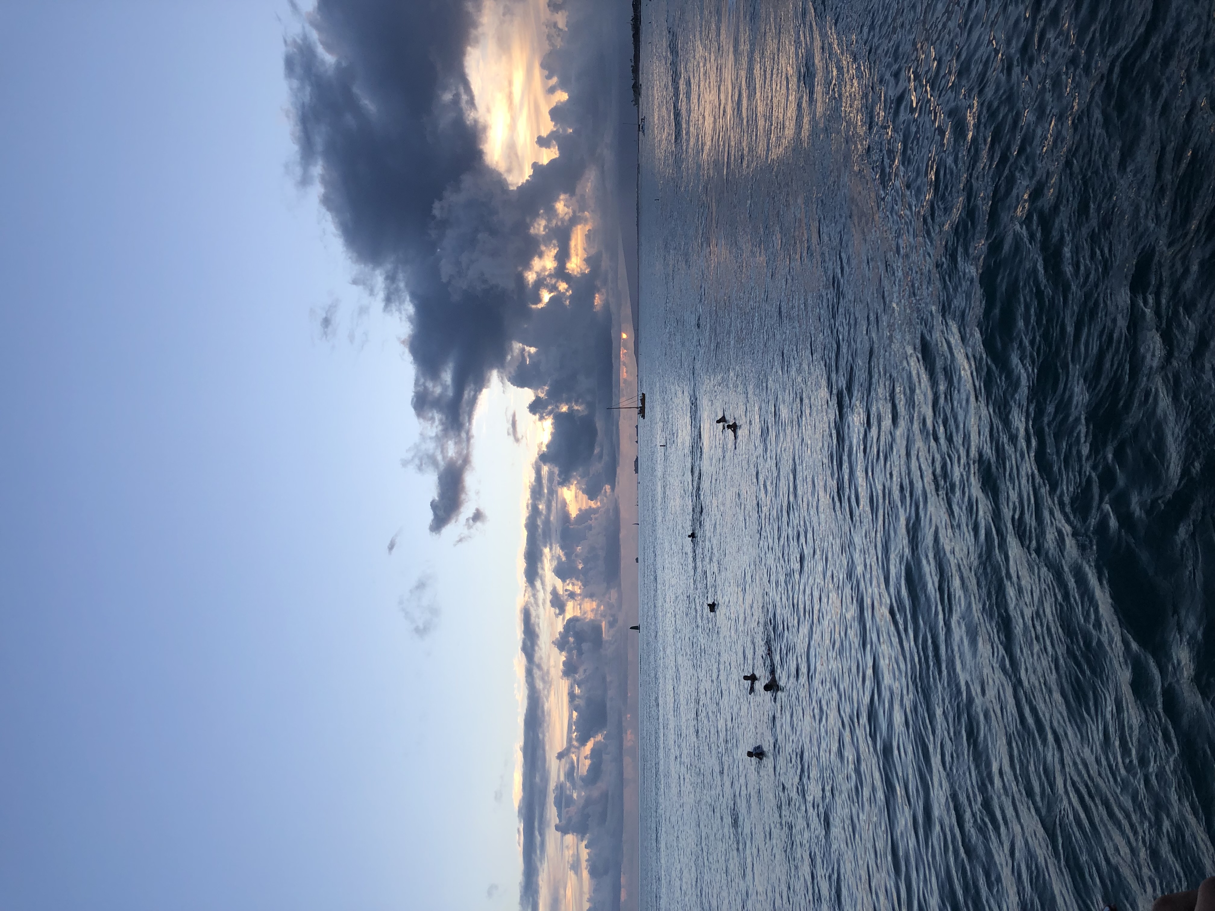 Picture from Hawaii